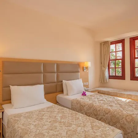 Hotel Alize 4*